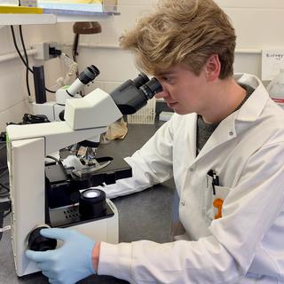 Ian wears gloves and a lab coat and looks through a microscope