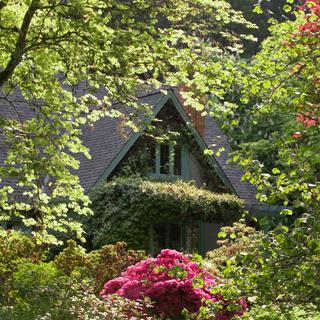 Milner House framed by blooming flowers and foliage