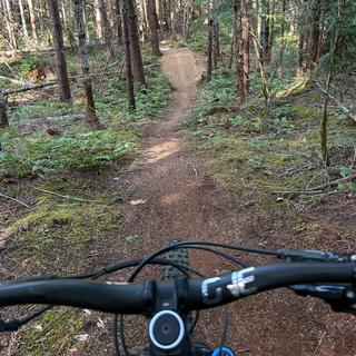 looking down a mountain bike trail from the perspective of the rider