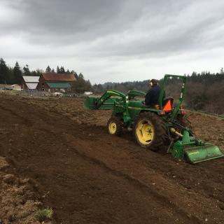 VIU Planting Vegetable Seeds for a Growing Need