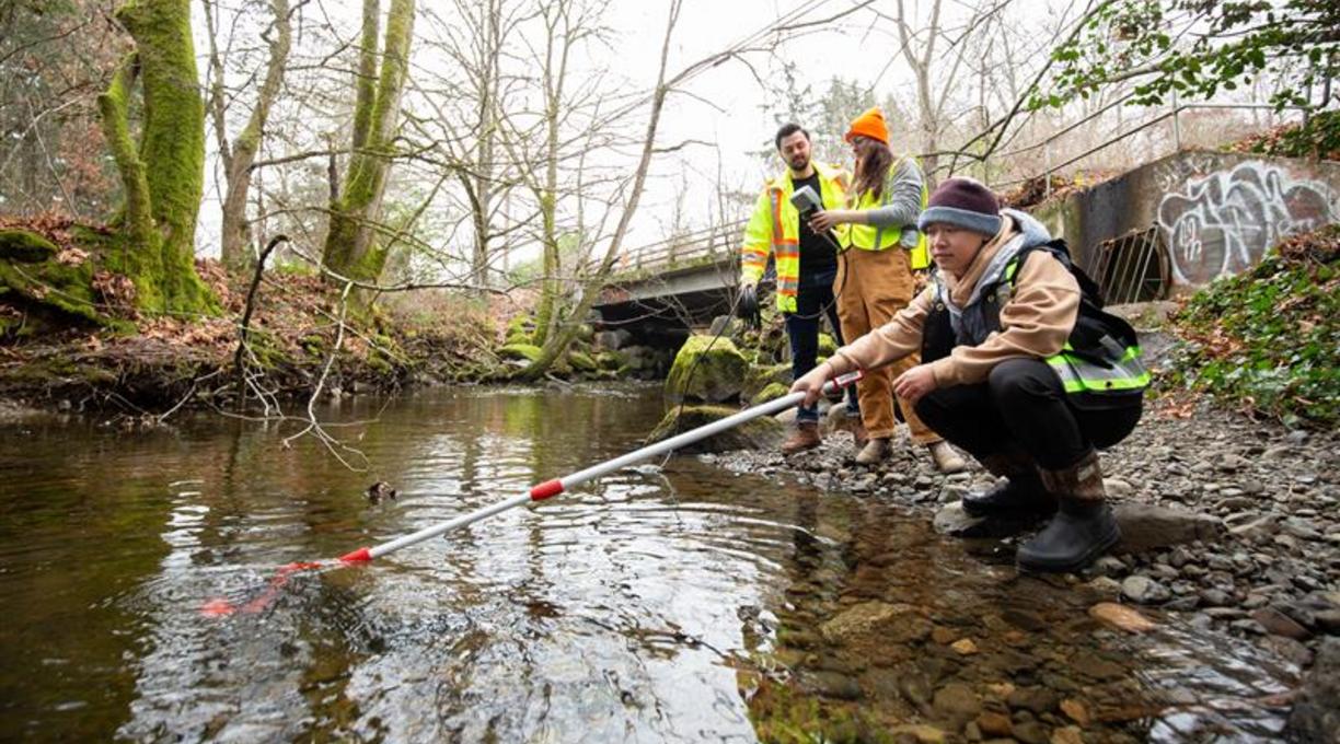 researching tire toxins in local waterways