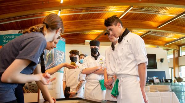 Students look at sea urchins together