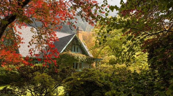 A canopy of trees with red, yellow and green leaves surround Milner House.