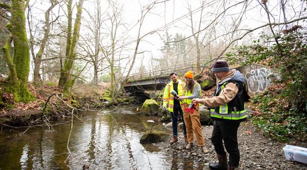 Three people survey a river