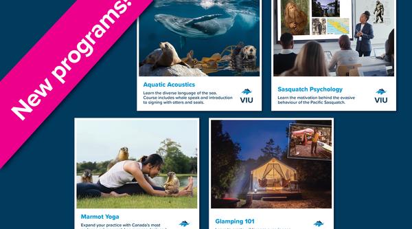new programs at VIU advertisement