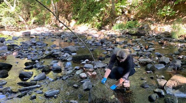 Biologist, Ally Badger, kneels in a river surrounded by rocks and water while collecting samples.