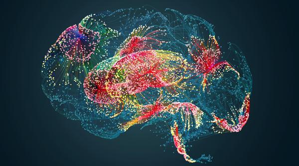 A picture of a brain lit up with different colours