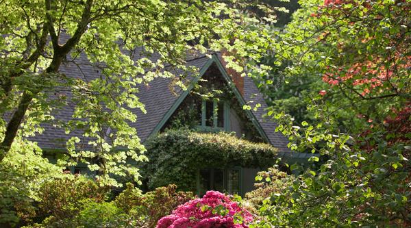 Milner House framed by blooming flowers and foliage