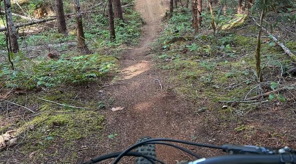 looking down a mountain bike trail from the perspective of the rider