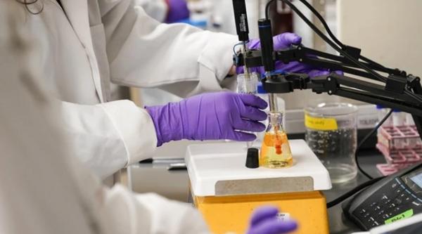 people in white coats and purple lab gloves look into microscopes