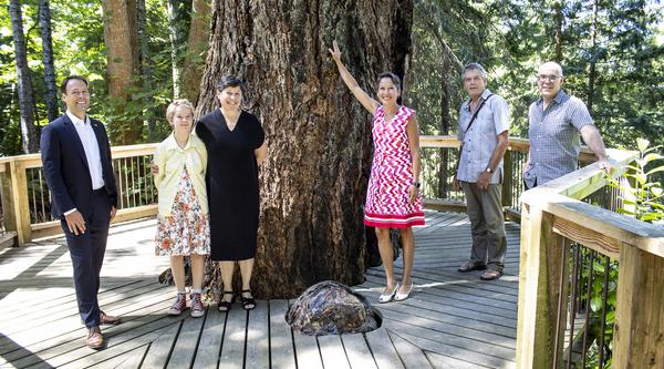 Five people stand around a tree at Milner Gardens & Woodland.