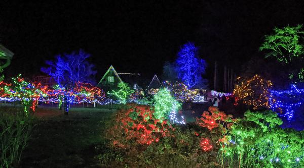 Red, green and blue Christmas lights adorn trees and bushes and the roof of Milner House.