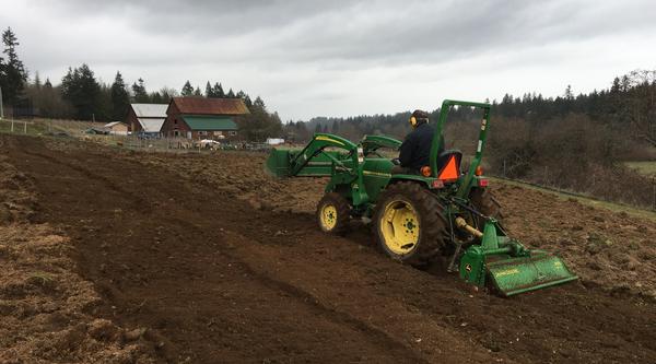 VIU Planting Vegetable Seeds for a Growing Need