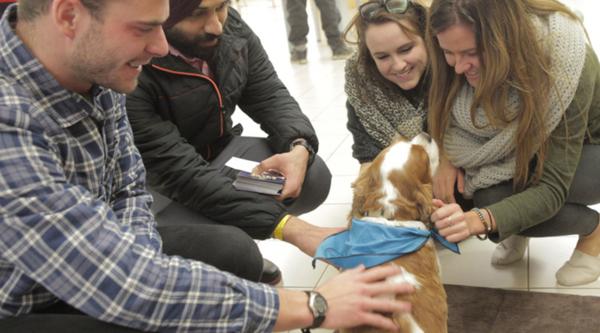 Bust Stress at Vancouver Island University in 4 Steps