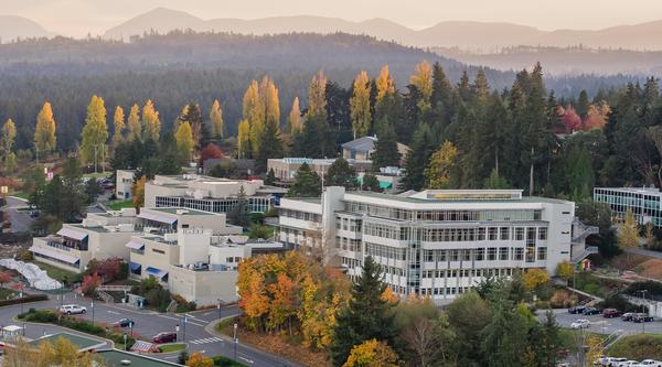 An aerial view of VIU's Nanaimo campus during the fall trees dappled with yellow and orange leaves.