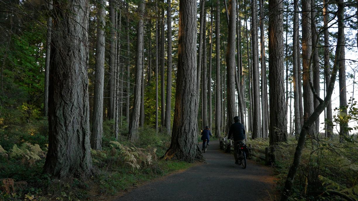 Two people ride bikes on a trail at Rathtrevor Beach Provincial Park
