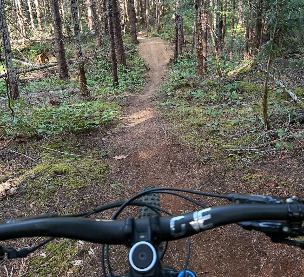 looking down a mountain bike trail from the perspective of the rider