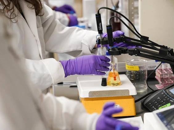 people in white coats and purple lab gloves look into microscopes
