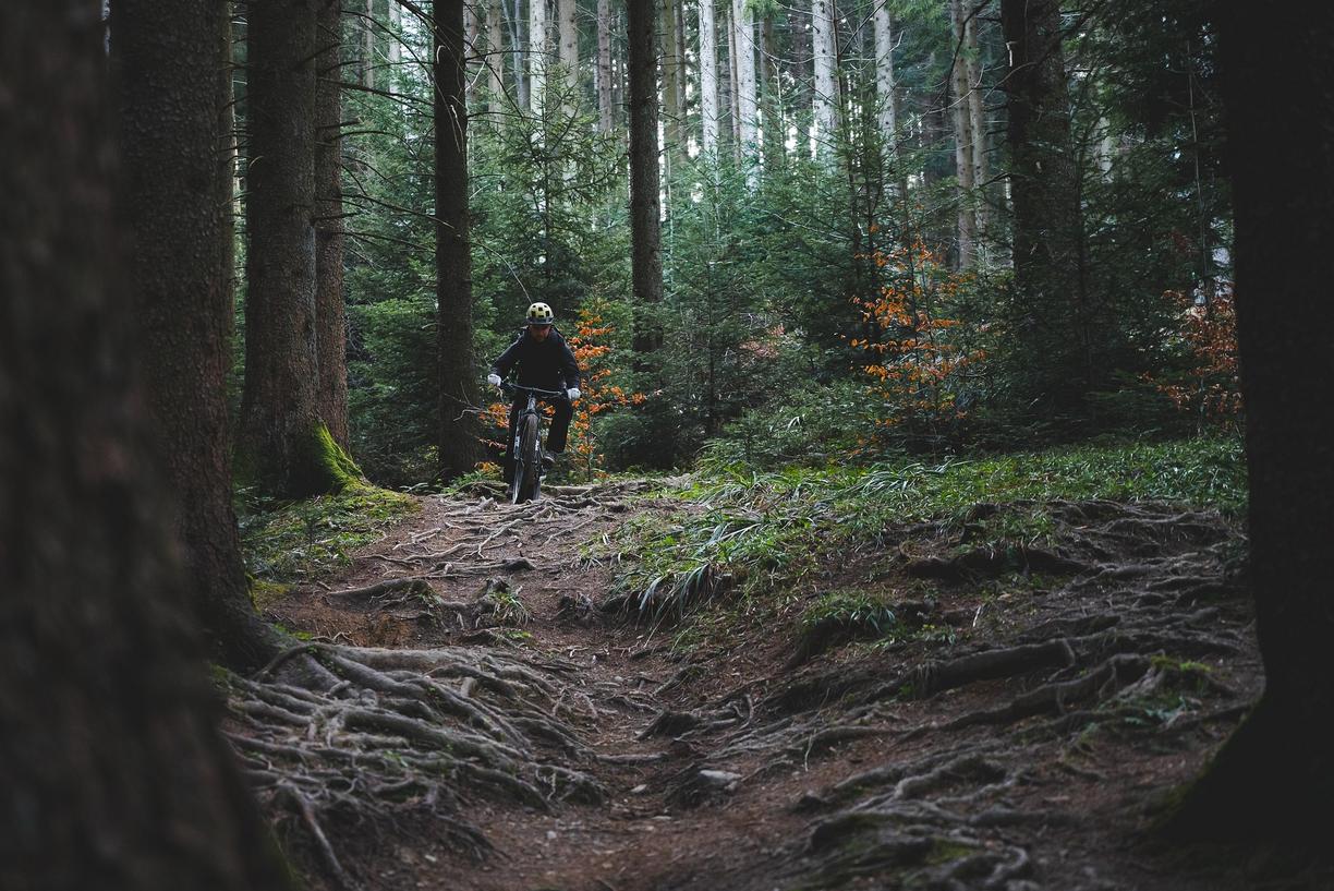 A mountain biker navigates a rooty trail in the forest