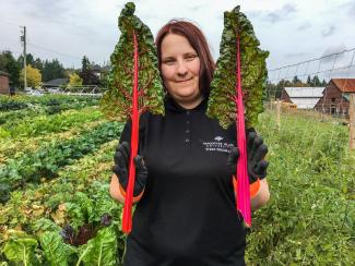 Planting Vegetable Seeds for a Growing Need