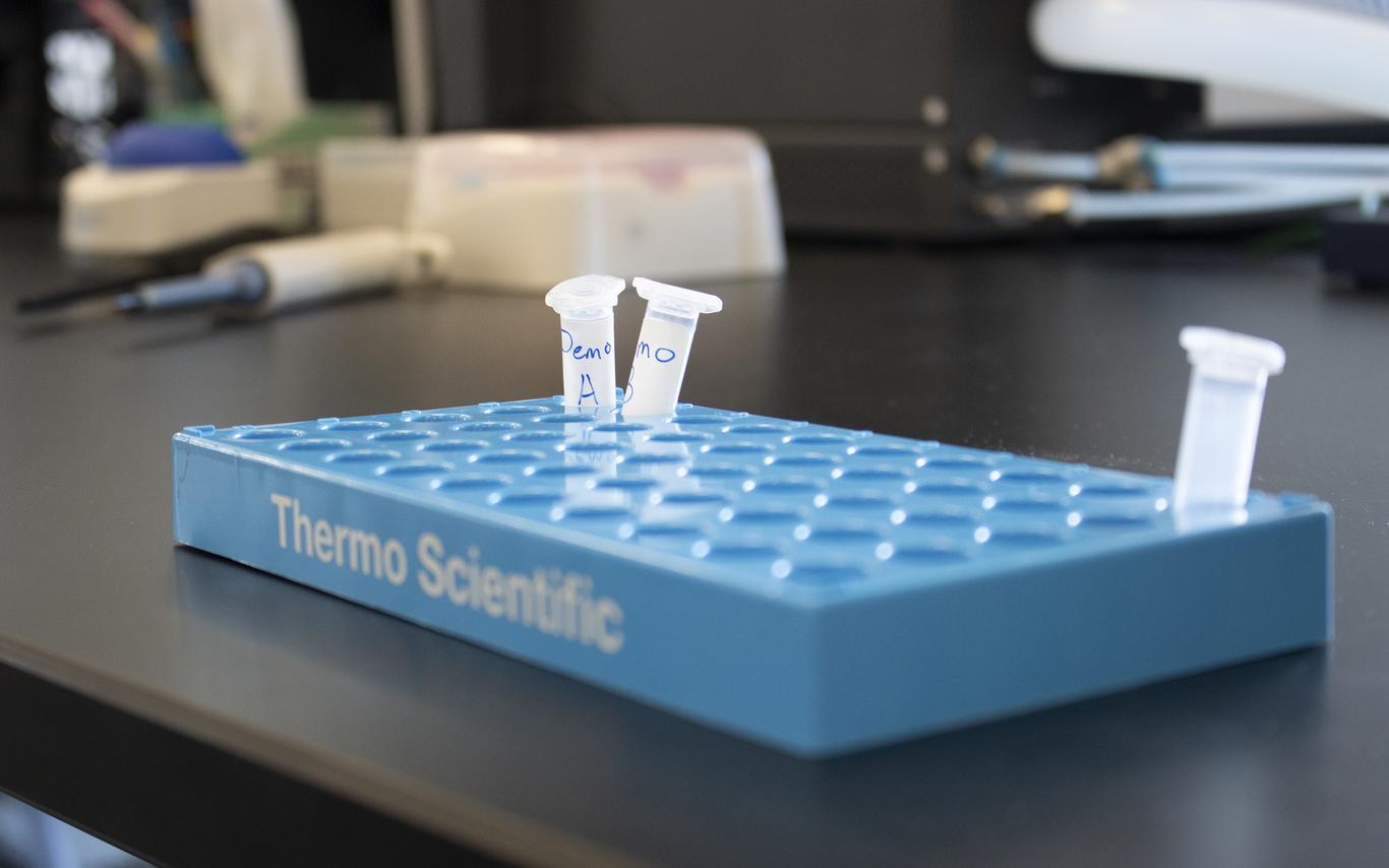 Clear test tubes in a blue tray labelled Thermo Scientific.