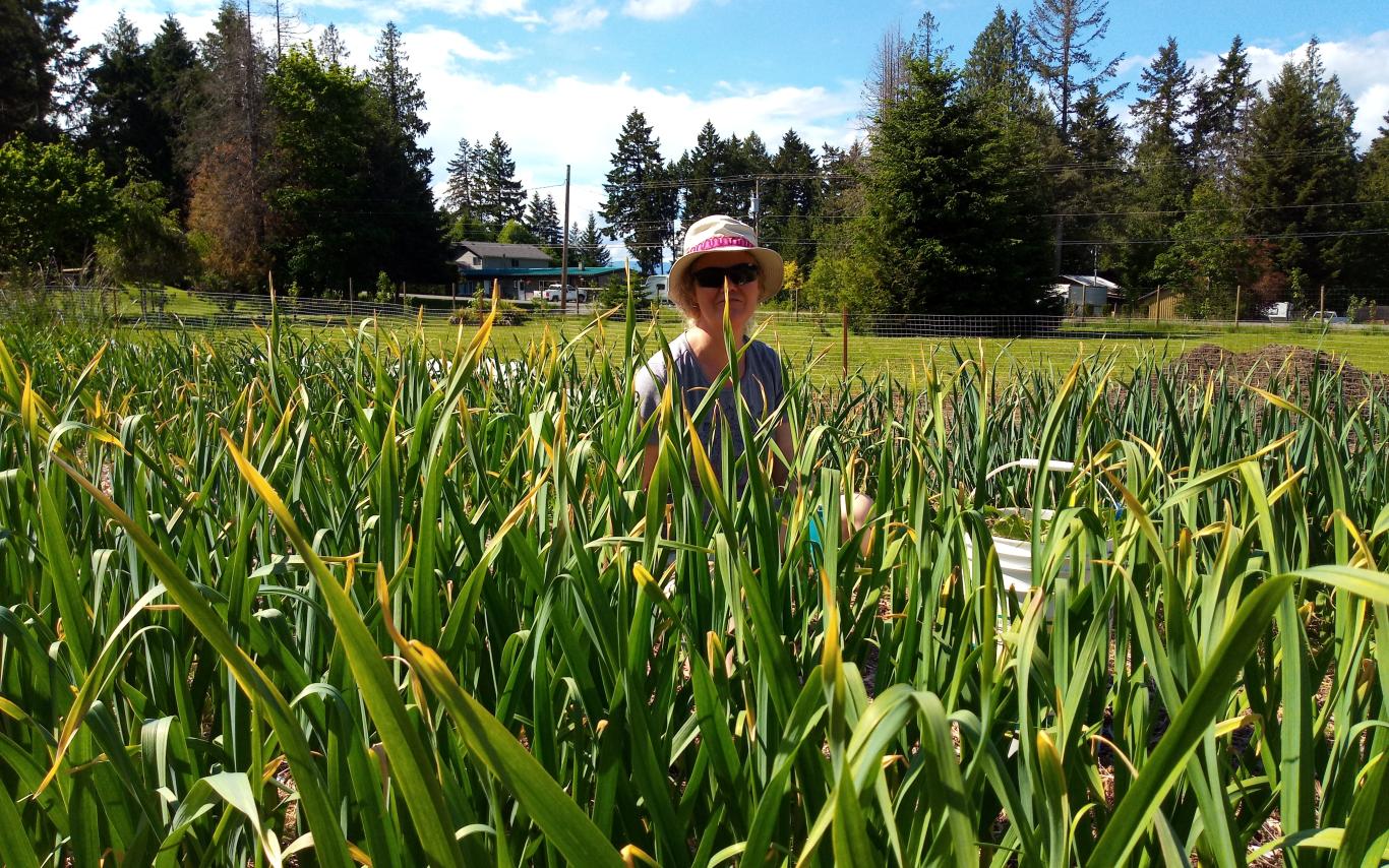 Toni sits in a field of garlic