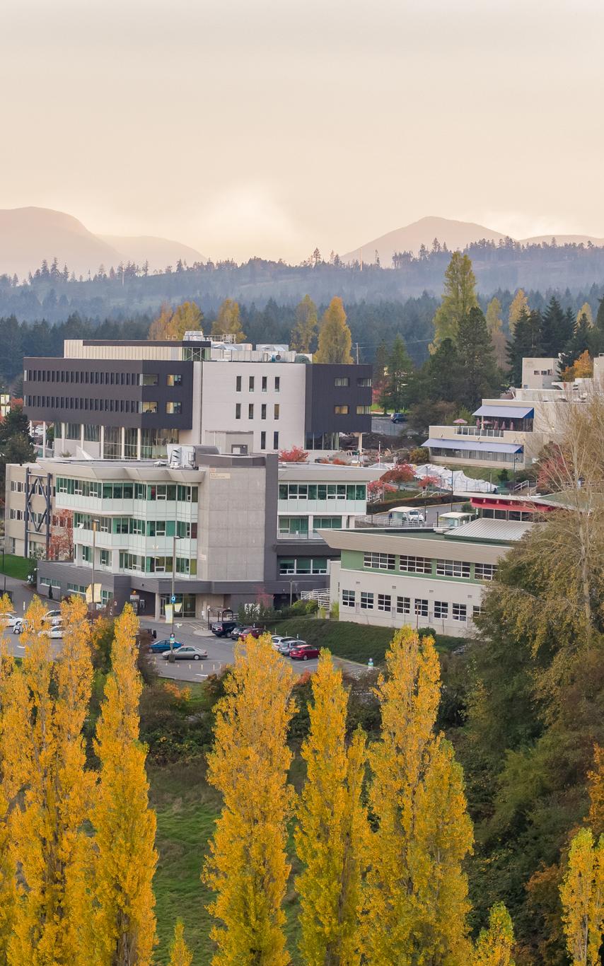 An aerial view of buildings at the VIU Nanaimo campus with a cropping of trees in the foreground.